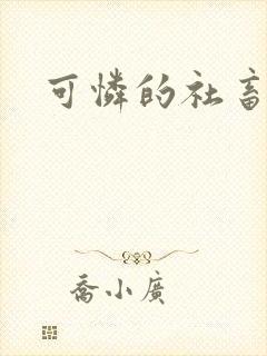 可怜的社畜小说