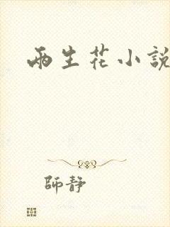 两生花小说封面