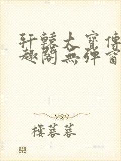 轩辕大宝传奇笔趣阁无弹窗