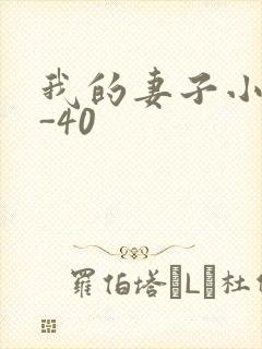 我的妻子小谨1-40