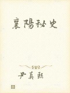 襄阳秘史