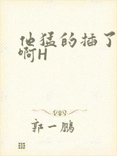 他猛的插了进去啊H