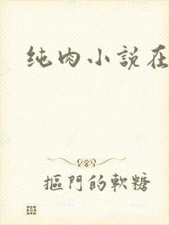 纯肉小说在线