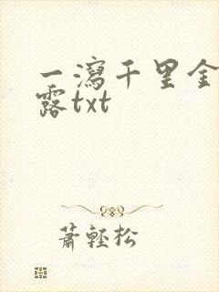 一泻千里金银花露txt