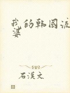 我的韩国流氓老婆