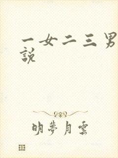 一女二三男事小说