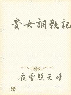贵女调教记