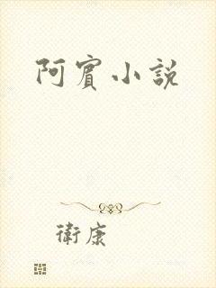 阿宾小说