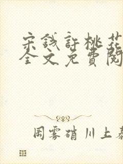 宋钱许桃花小说全文免费阅读