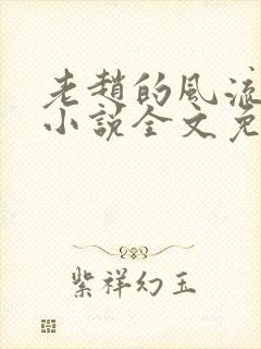 老赵的风流人生小说全文免费阅读