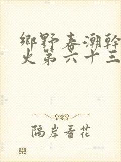 乡野春潮干柴烈火第六十三章
