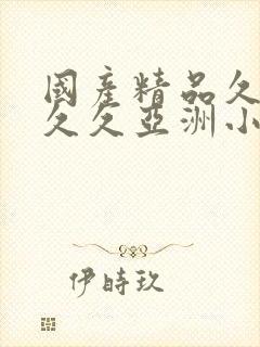 国产精品久久久久久亚洲小说