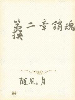 第二章销魂的交换