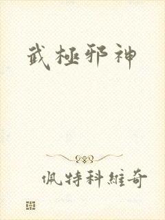 《武极邪神》小说封面