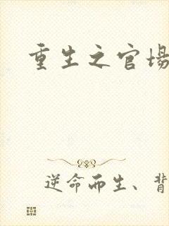 重生之官场风流