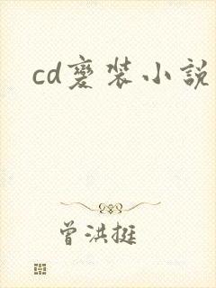 cd变装小说