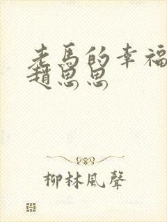 老马的幸福生活赵思思