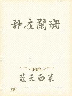 静夜阑珊