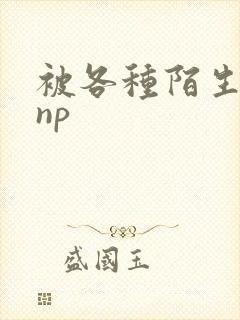 被各种陌生人 np