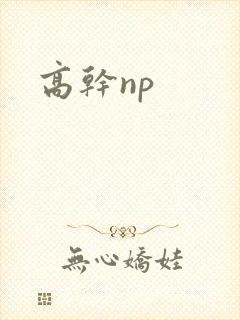 高干np