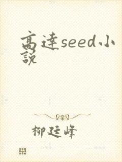 高达seed小说