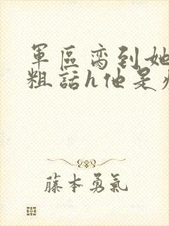 军区脔到她哭h粗话h他是疯批