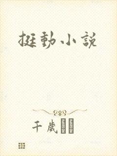 挺动小说