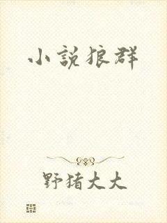 小说狼群