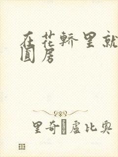 在花轿里就开始圆房