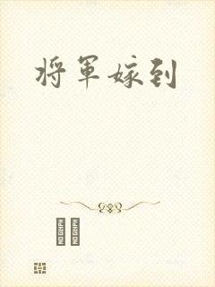 将军嫁到