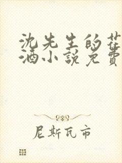 沈先生的花式调酒小说免费阅读