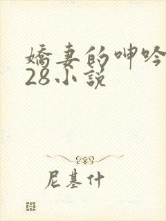 娇妻的呻吟1—28小说