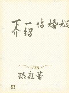 下一站婚姻剧情介绍