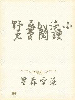 野桑by浅小说免费阅读