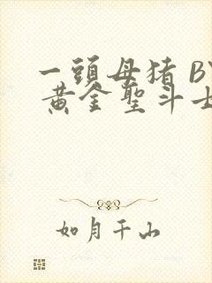 一头母猪 BY 黄金圣斗士