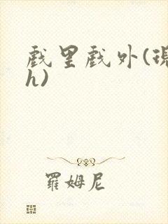 戏里戏外(现场h)