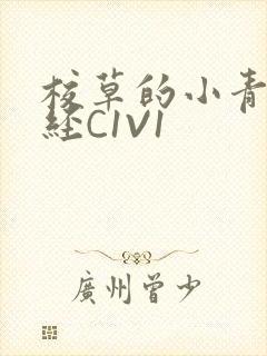 校草的小青梅不经C1V1