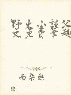 野火小说父女全文免费笔趣阁