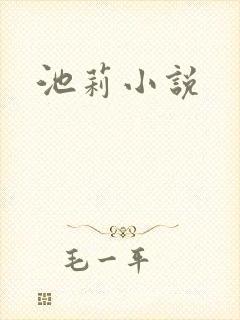 池莉小说