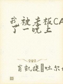 我被老板CAO了一晚上