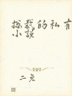 总裁的私有宝贝小说