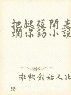 把腿张开老子臊烂你的小说封面