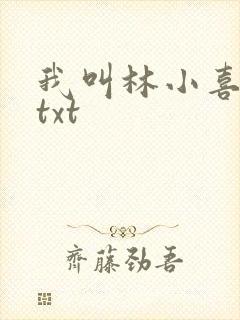 我叫林小喜小说txt