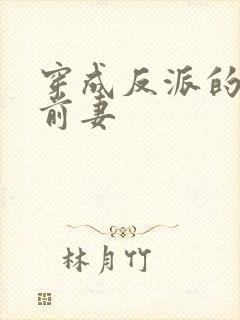 《穿成反派的炮灰前妻》小说封面