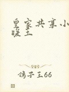 皇家共享小公主暖玉