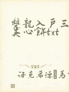 双龙入户三人行夹心饼txt