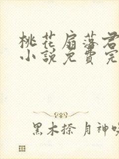 桃花扇落君不还小说免费完整版