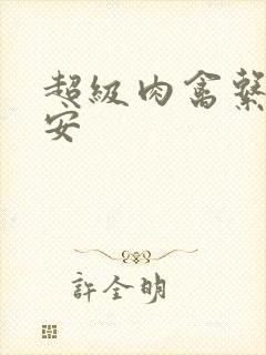 超级肉禽系统保安