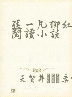 张一凡柳红免费阅读小说