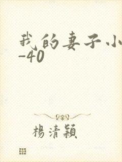 我的妻子小谨1-40
